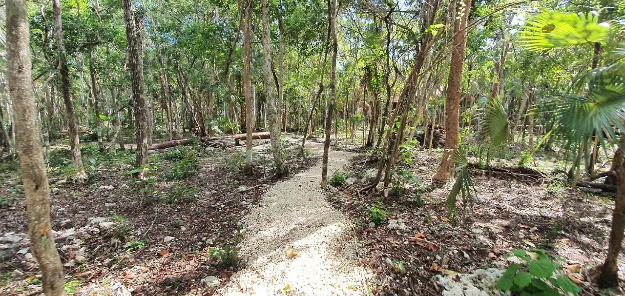Energy Tulum Adult Lux Villas