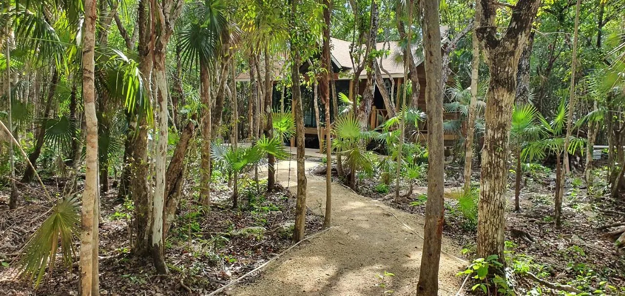 Energy Tulum Adult Lux Villas