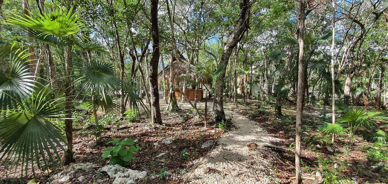 Energy Tulum Adult Lux Villas 0*,